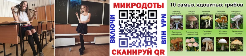 darknet наркотические препараты  Коркино  Псилоцибиновые грибы прущие грибы 